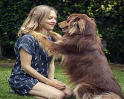 The actress owns an Australian shepherd dog whom she calls as Finn. Her dog has his own Twitter account.